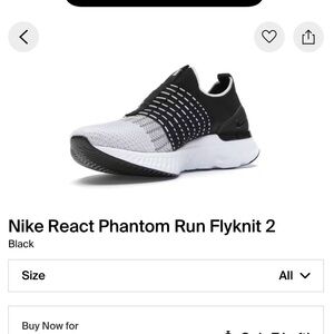 Nike React Phantom Run Flyknit 2